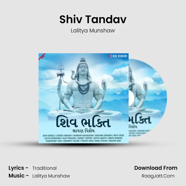 Shiv Tandav Cover