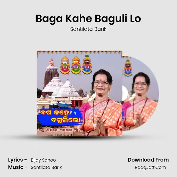 Baga Kahe Baguli Lo mp3 song