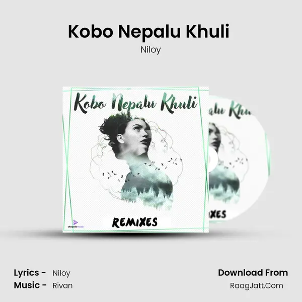 Kobo Nepalu Khuli (Rivan Remix) MP3 Song by Niloy Cover