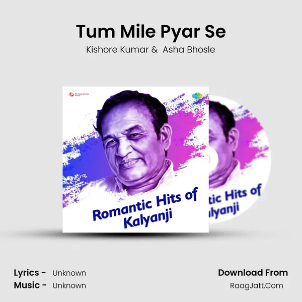 Tum Mile Pyar Se Cover