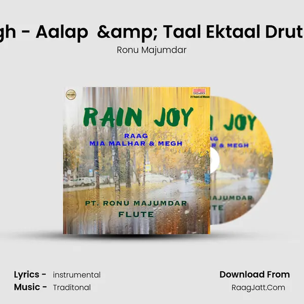 Raag Megh - Aalap  &amp; Taal Ektaal Drut -12 Beats mp3 song