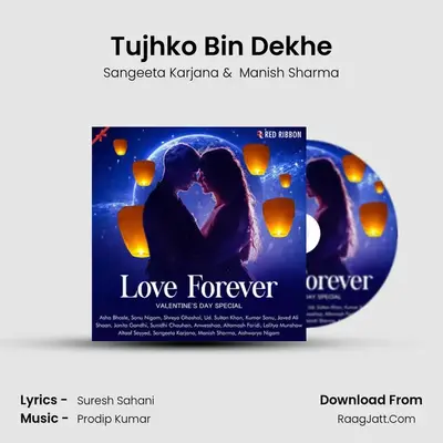 Tujhko Bin Dekhe mp3 song