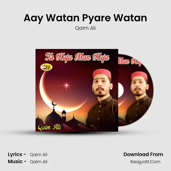 Aay Watan Pyare Watan mp3 song