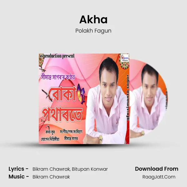 Akha MP3 Song by Polakh Fagun Cover