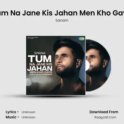 Tum Na Jane Kis Jahan Men Kho Gaye Cover
