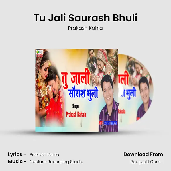 Tu Jali Saurash Bhuli MP3 Song by Prakash Kahla Cover