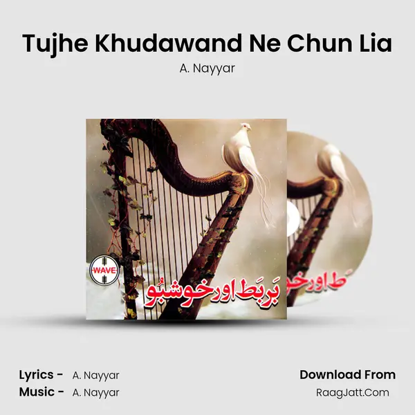 Tujhe Khudawand Ne Chun Lia MP3 Song by A. Nayyar Cover