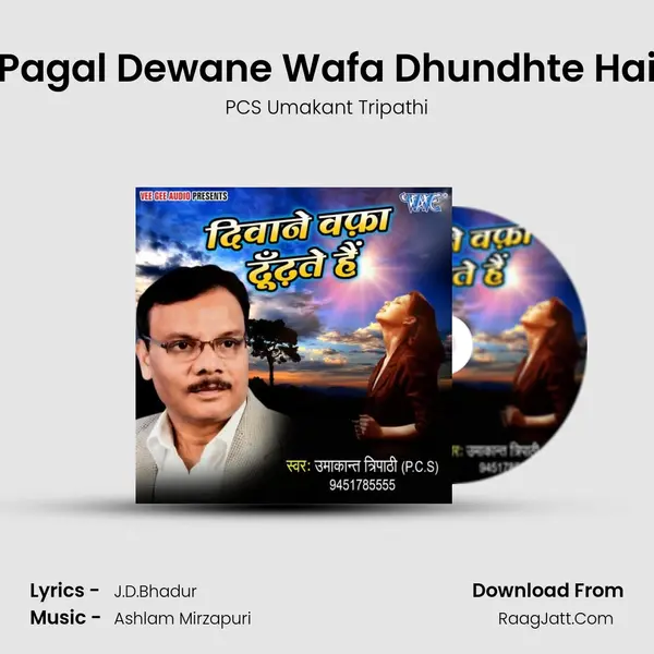 Pagal Dewane Wafa Dhundhte Hai mp3 song