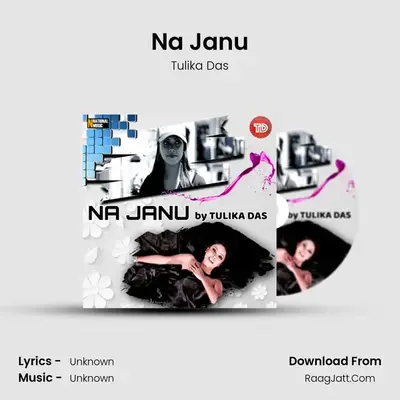Na Janu MP3 Song by Tulika Das Cover