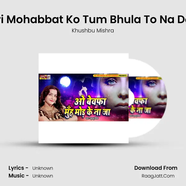 Meri Mohabbat Ko Tum Bhula To Na Doge mp3 song