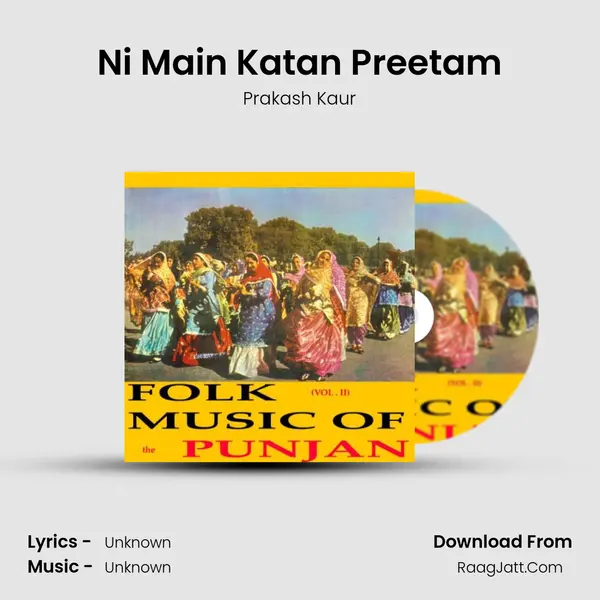 Ni Main Katan Preetam Cover