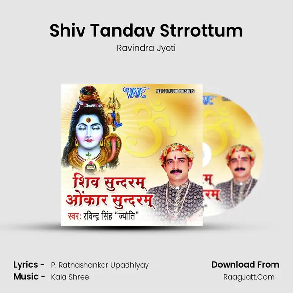 Shiv Tandav Strrottum MP3 Song by Ravindra Jyoti Cover