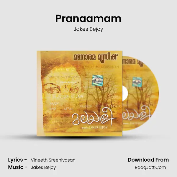 Pranaamam MP3 Song by Jakes Bejoy Cover