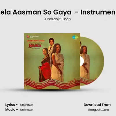 Neela Aasman So Gaya (Part 2) - Instrumental Cover