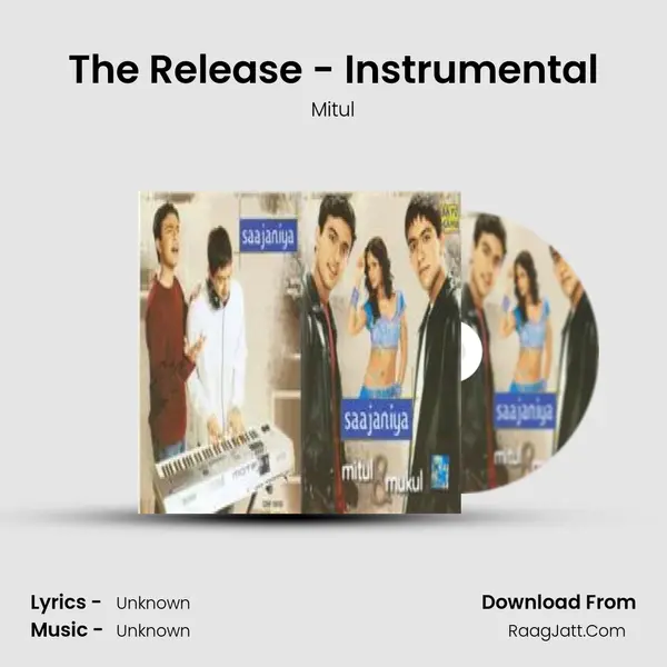 The Release - Instrumental Cover