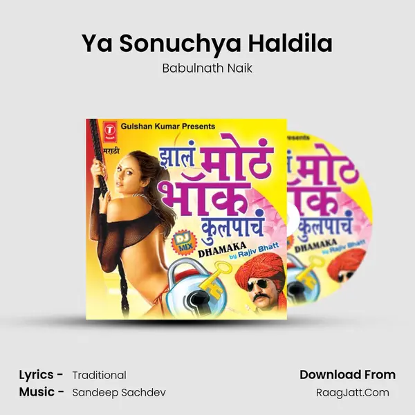 Ya Sonuchya Haldila MP3 Song by Babulnath Naik Cover