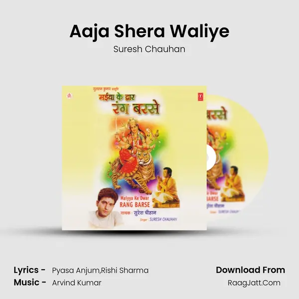 Aaja Shera Waliye MP3 Song by Suresh Chauhan Cover