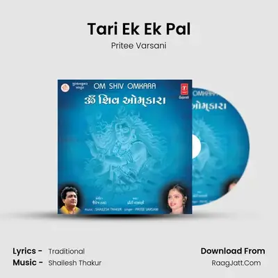 Tari Ek Ek Pal MP3 Song by Pritee Varsani Cover