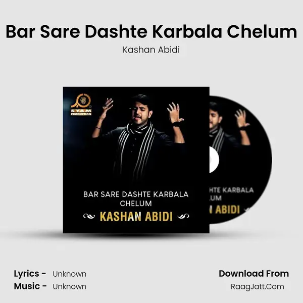 Bar Sare Dashte Karbala Chelum - Single - Kashan Abidi