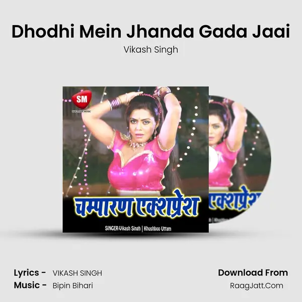 Dhodhi Mein Jhanda Gada Jaai MP3 Song by Vikash Singh Cover