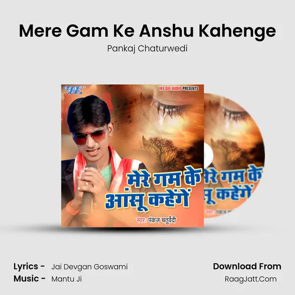 Mere Gam Ke Anshu Kahenge - Pankaj Chaturwedi