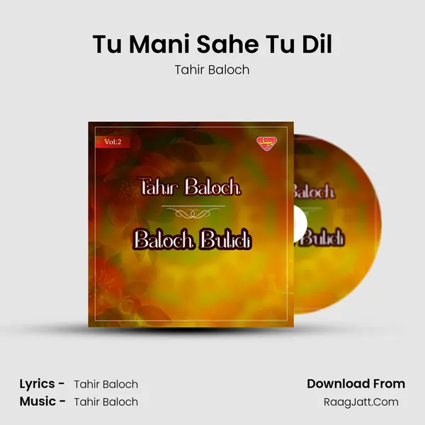 Tu Mani Sahe Tu Dil MP3 Song by Tahir Baloch Cover