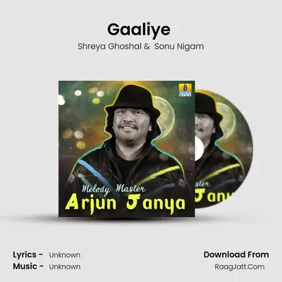 Gaaliye (From "Sanchari") Cover