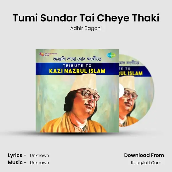 Tumi Sundar Tai Cheye Thaki Cover
