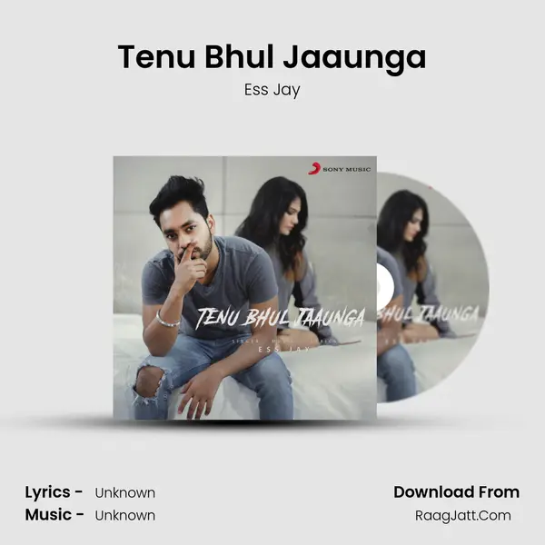 Tenu Bhul Jaaunga - Ess Jay