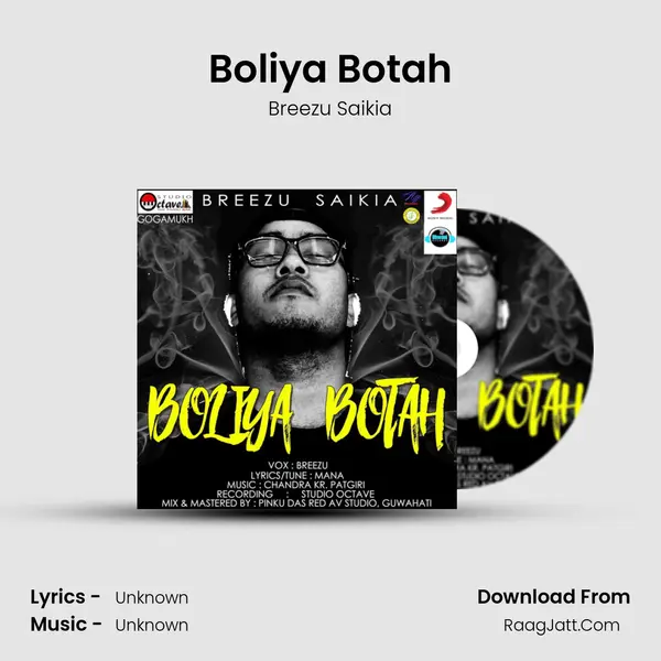 Boliya Botah MP3 Song by Breezu Saikia Cover