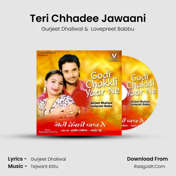 Teri Chhadee Jawaani Cover