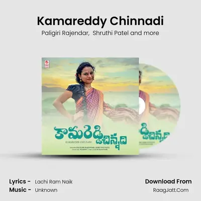 Kamareddy Chinnadi - Paligiri Rajendar