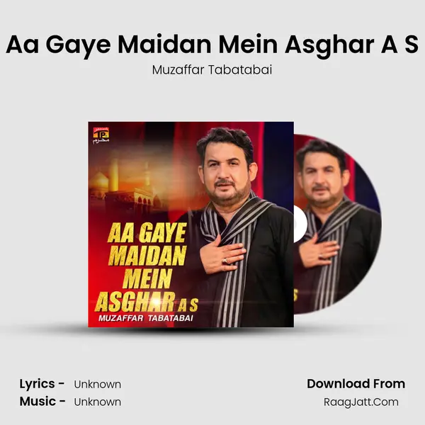 Aa Gaye Maidan Mein Asghar A S MP3 Song by Muzaffar Tabatabai Cover