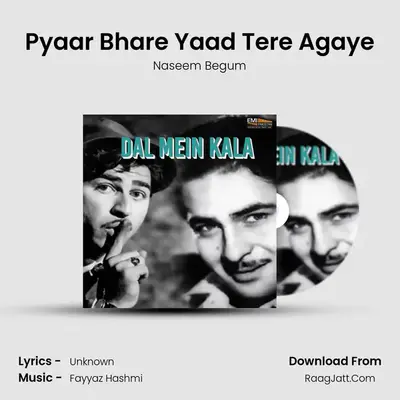 Pyaar Bhare Yaad Tere Agaye mp3 song