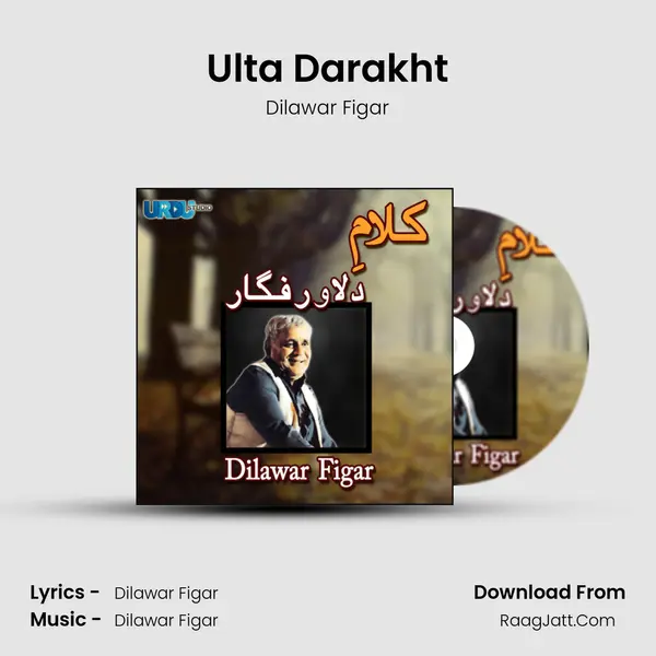 Ulta Darakht mp3 song