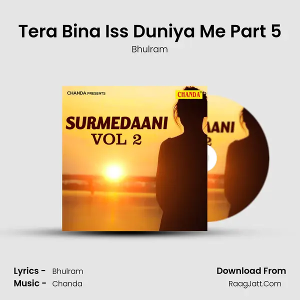 Tera Bina Iss Duniya Me Part 5 mp3 song