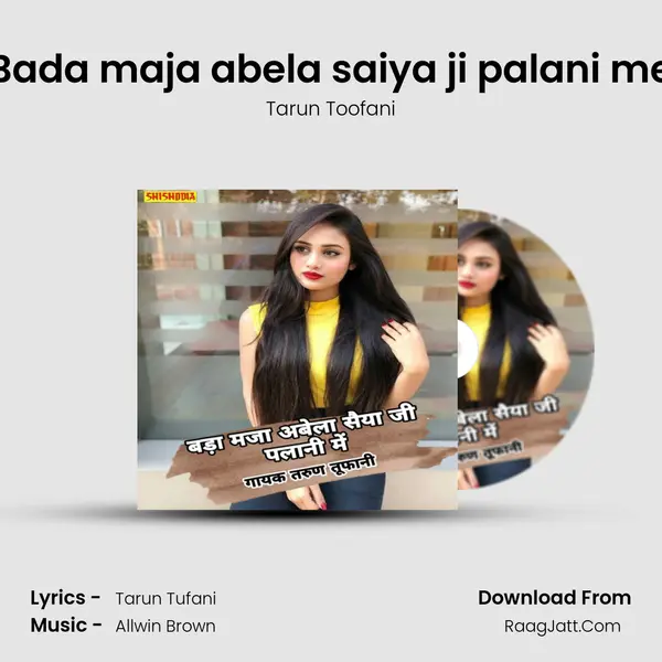 Bada maja abela saiya ji palani me Cover