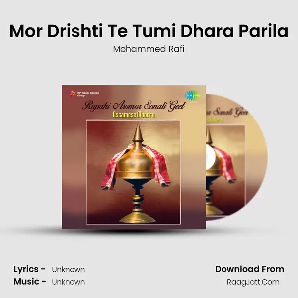 Mor Drishti Te Tumi Dhara Parila Cover