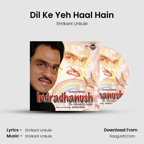 Dil Ke Yeh Haal Hain MP3 Song by Shrikant Unkule Cover