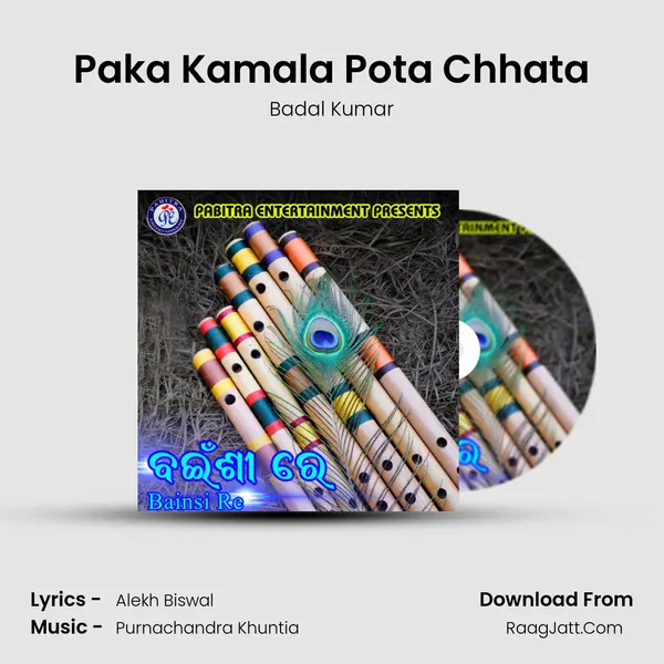Paka Kamala Pota Chhata MP3 Song by Badal Kumar Cover