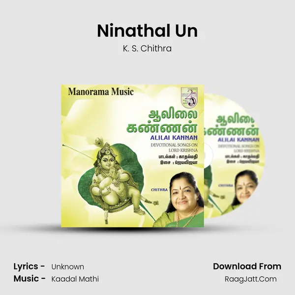 Ninathal Un MP3 Song by K. S. Chithra Cover