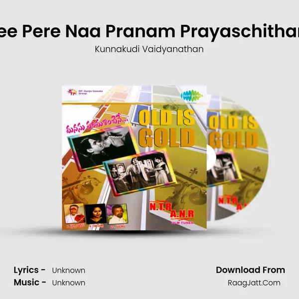 Nee Pere Naa Pranam Prayaschitham MP3 Song by Kunnakudi Vaidyanathan Cover