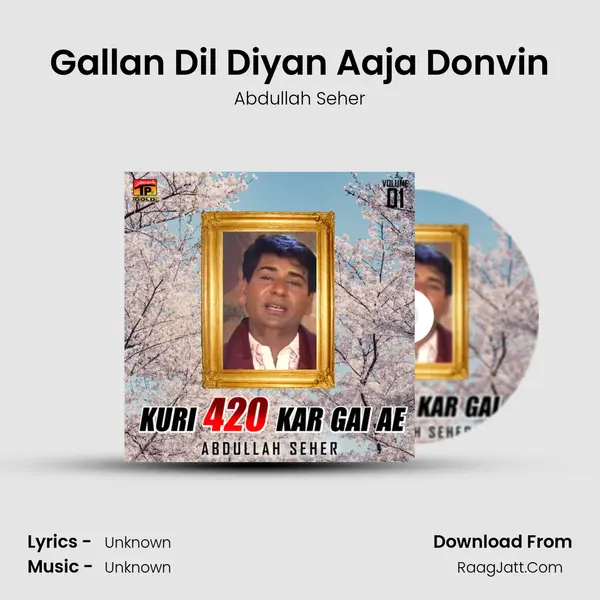 Gallan Dil Diyan Aaja Donvin MP3 Song by Abdullah Seher Cover