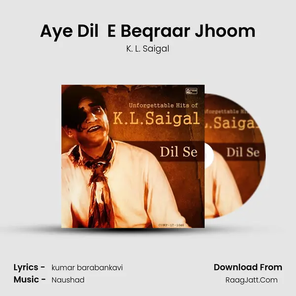 Aye Dil  E Beqraar Jhoom mp3 song