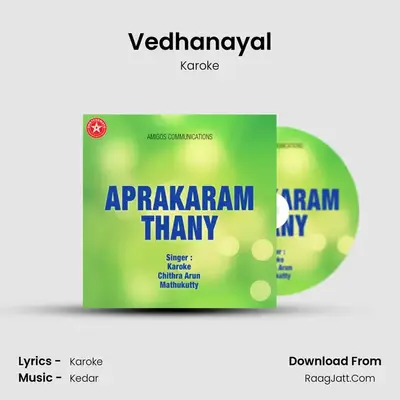 Vedhanayal MP3 Song by Karoke Cover