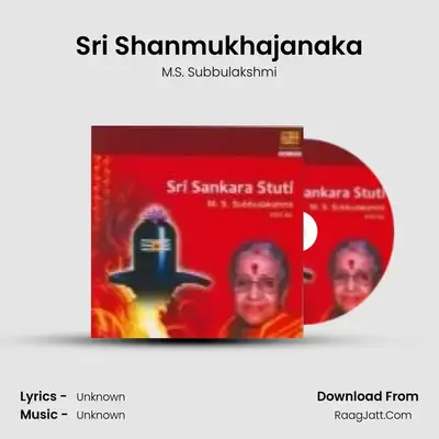 Sri Sankara Stuti By M S Subbulakshmi - M.S. Subbulakshmi