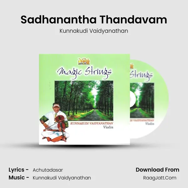 Sadhanantha Thandavam MP3 Song by Kunnakudi Vaidyanathan Cover