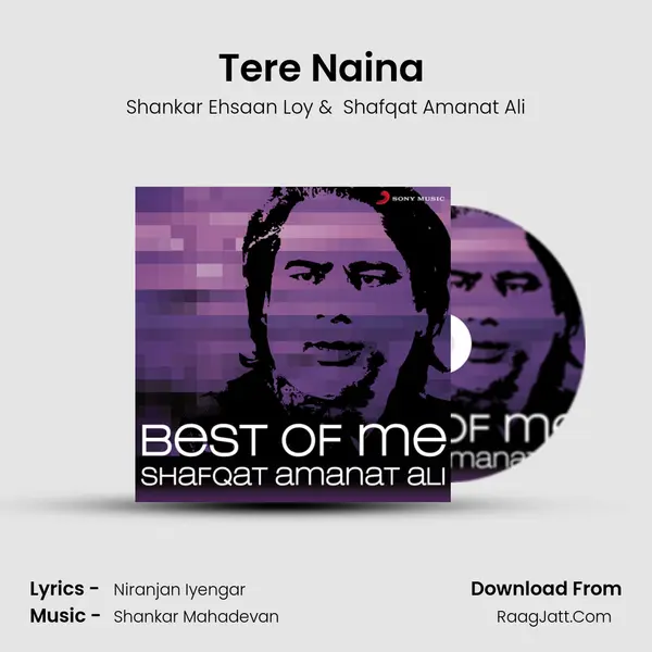 Tere Naina (From "My Name Is Khan") Cover