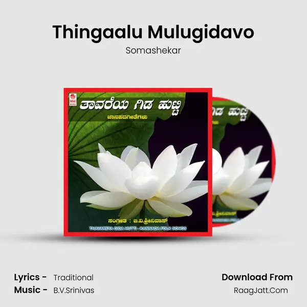 Thingaalu Mulugidavo MP3 Song by Somashekar Cover