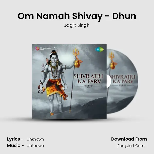 Om Namah Shivay - Dhun Cover